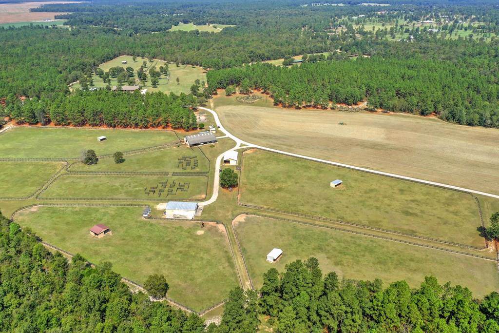 359 State Park Road - Photo 1