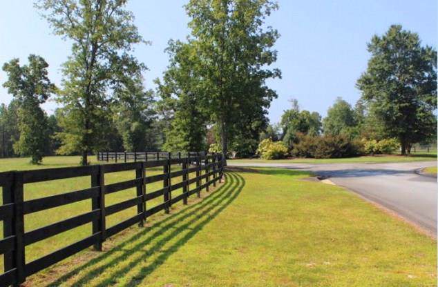 Lot 1 Bridle Creek Trail - Photo 1