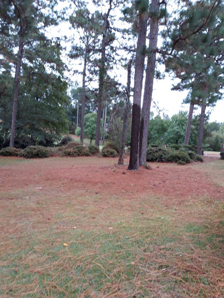 Lot 239 Double Eagle Court - Photo 1