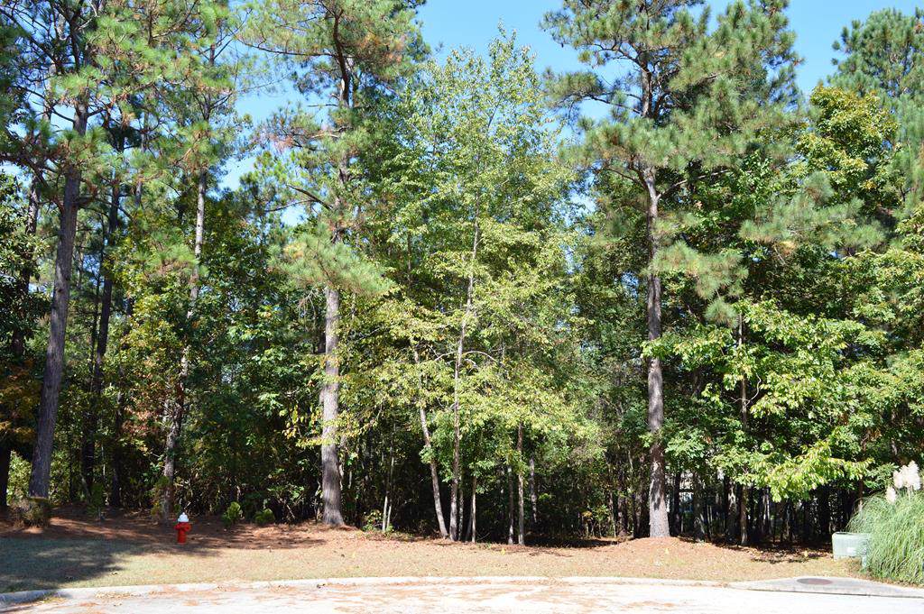 Lot 654 Butternut Court - Photo 1 Lot 654 Butternut Court - Photo 1