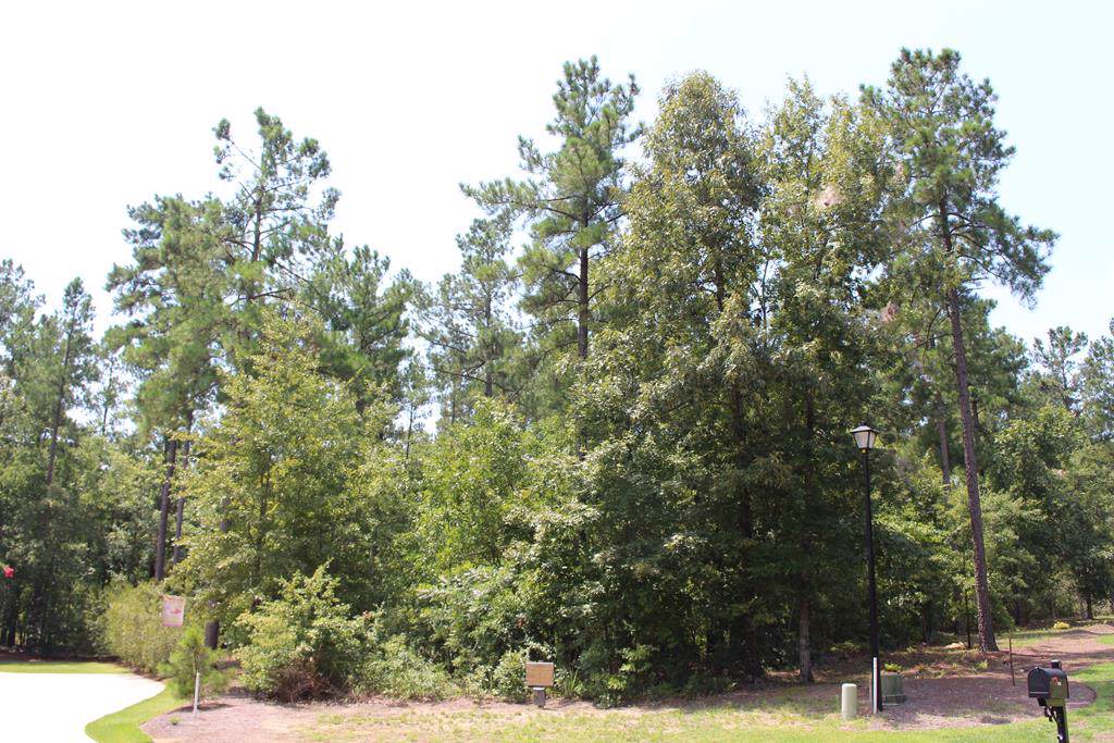 1107 Dunham Forest Way - Photo 1 1107 Dunham Forest Way - Photo 1