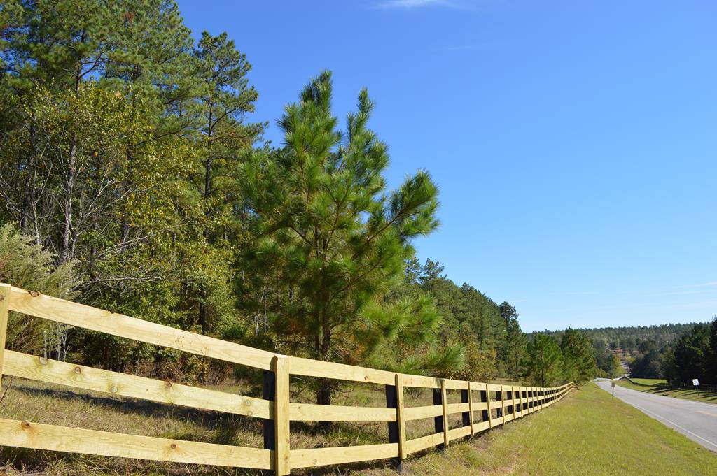 Lot 29 Anderson Pond Road - Photo 1