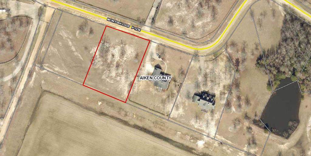 572 Mcintosh Loop - Photo 1
