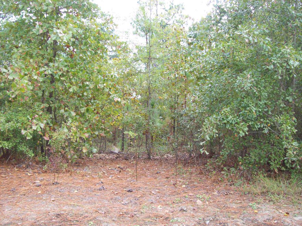 5264 Pleasant Point Drive - Photo 1