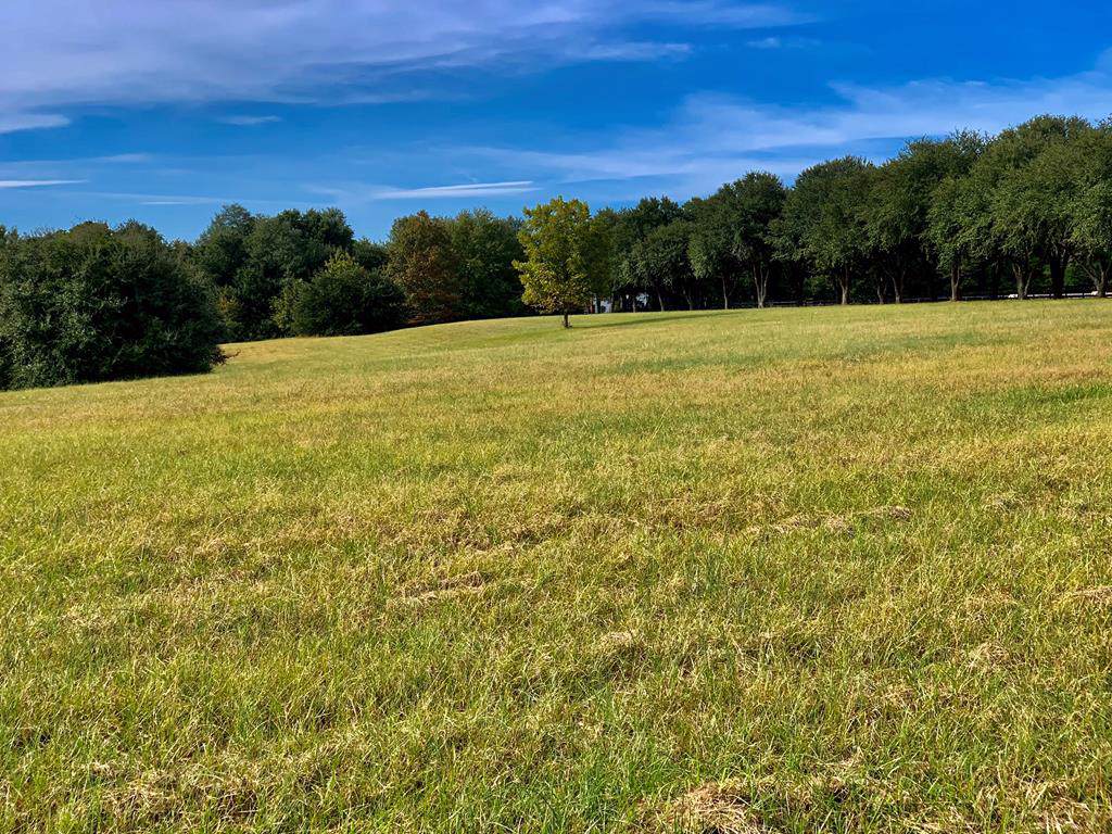 1147 Shaws Fork Road - Photo 1 1147 Shaws Fork Road - Photo 1