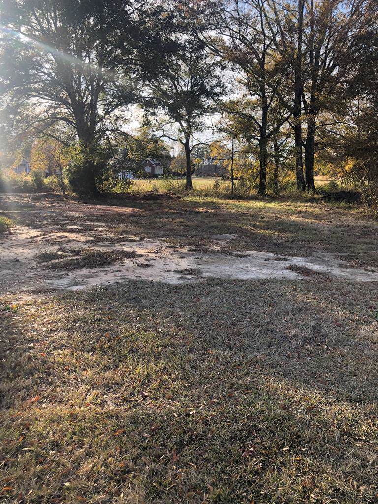Lot 74 Peach Lane - Photo 1