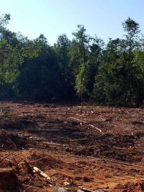 0 Adams Avenue - Photo 1