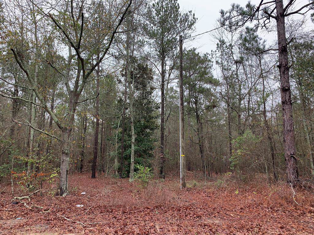 295 Wheat Road - Photo 1
