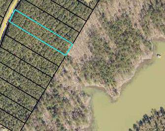 Lot 25 Providence Ferry Road - Photo 1