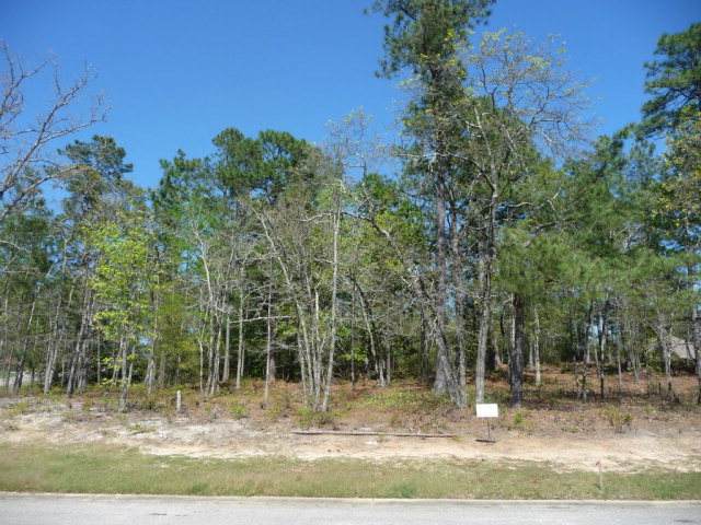 LOT 472 Spalding Lake Circle - Photo 1
