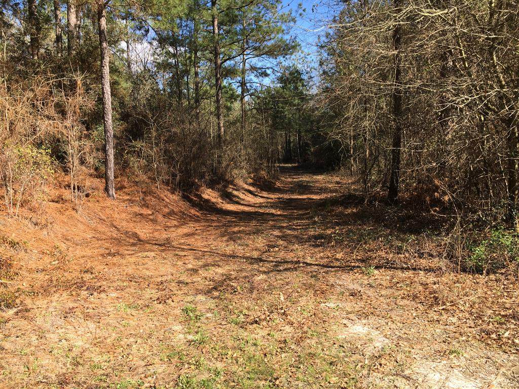 00 Connector Road - Photo 1
