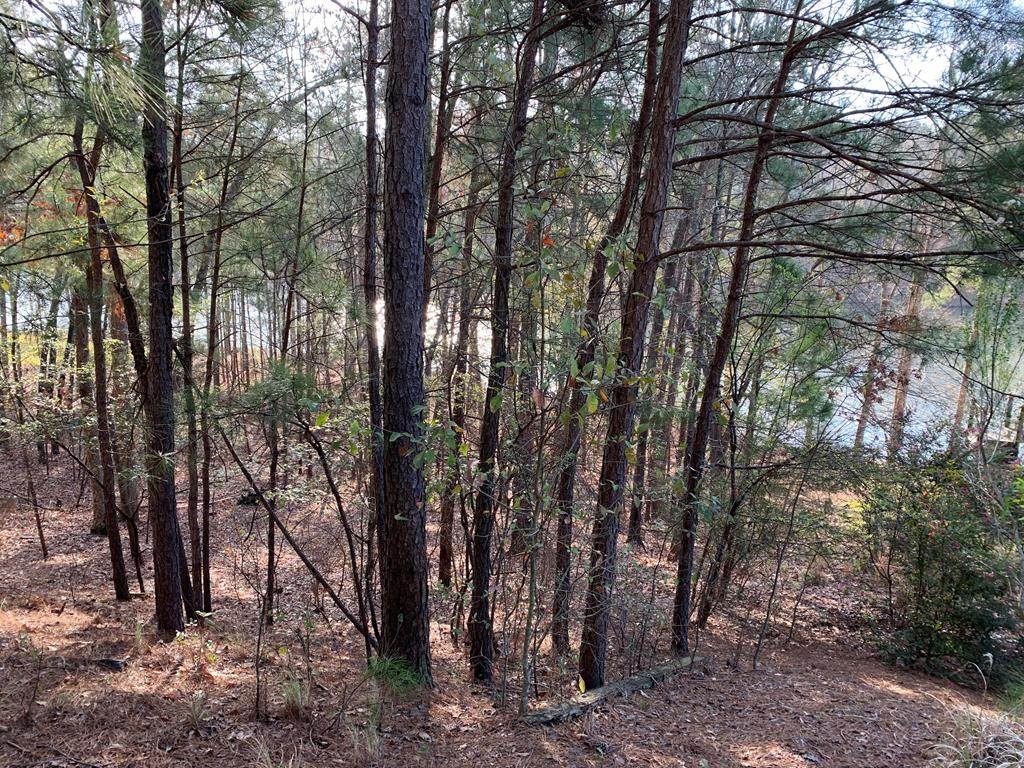 158 Mockernut Circle - Photo 1