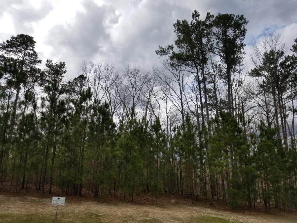 330 Three Runs Creek Way - Photo 1