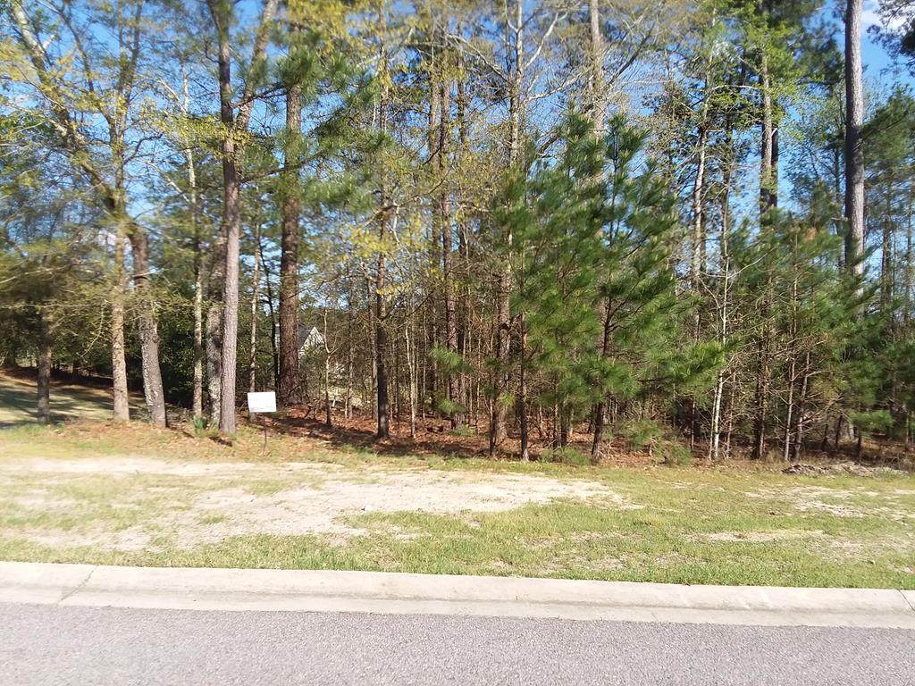 109 Golden Oak Drive - Photo 1