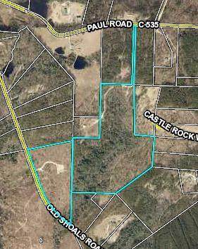 905 Old Shoals Road - Photo 1