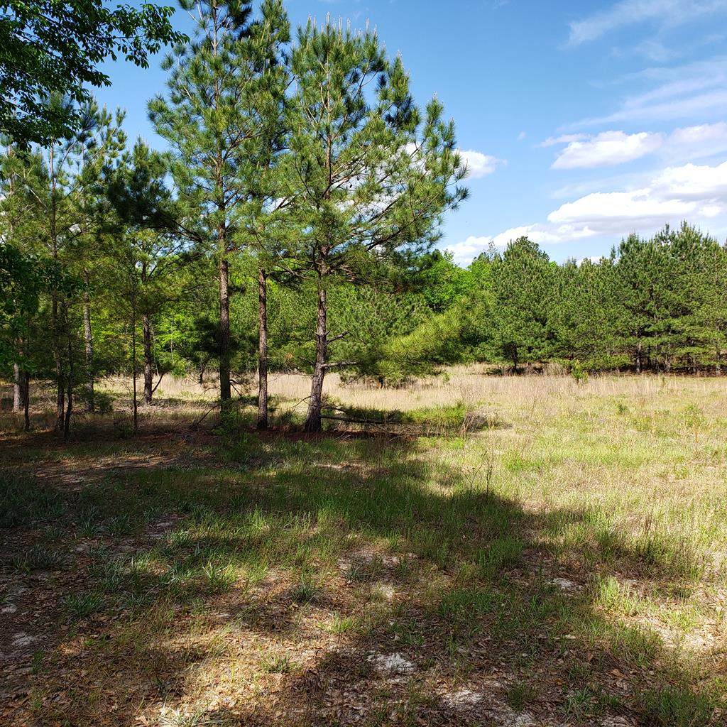 Lot 11 Dairy Road - Photo 1