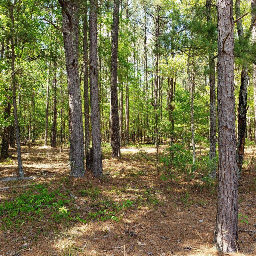 Lot 2 Dairy Road - Photo 1