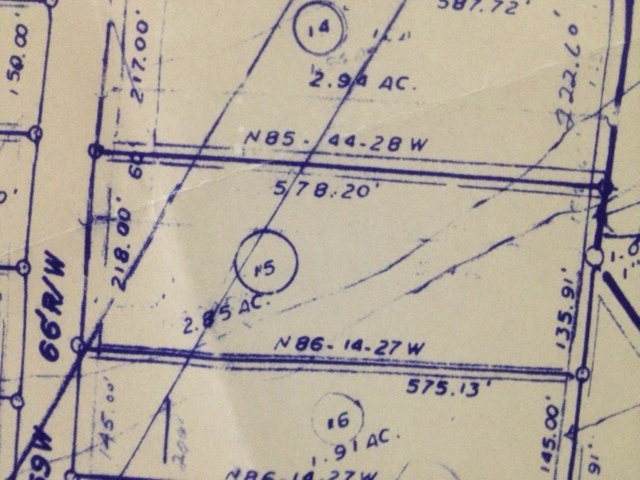 2.94 AC Hamelin Road - Photo 1
