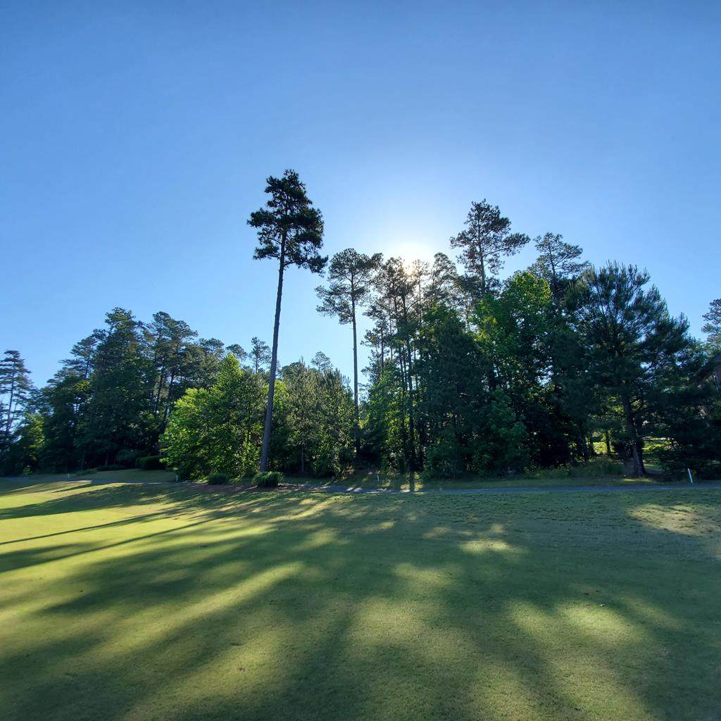 119 Trippi Lane - Photo 1