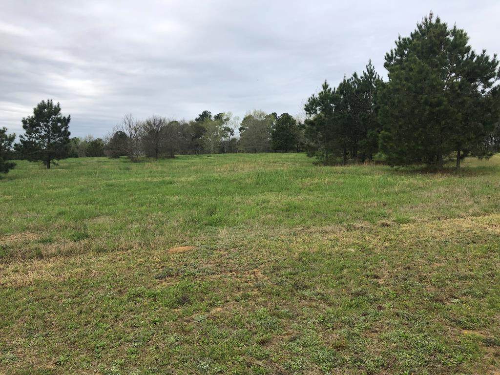 Lot L-32 Militia Loop - Photo 1
