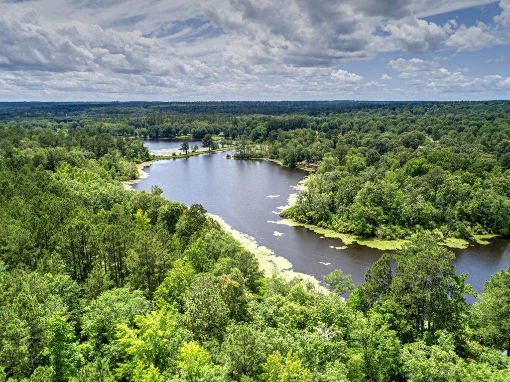 Lot 55 Lake Forest Lane - Photo 1