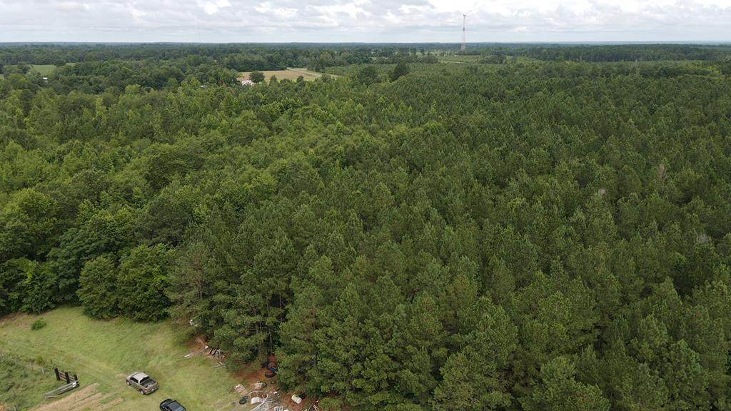 527 Nature Scout Street - Photo 1