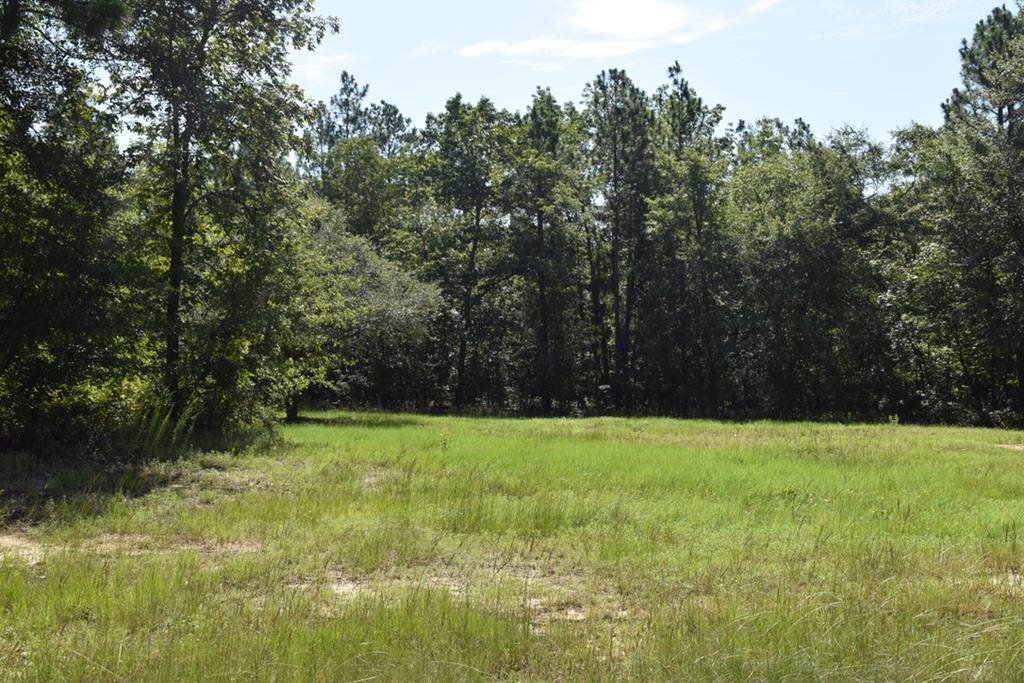 Lot 8 Turtle Pond Court - Photo 1