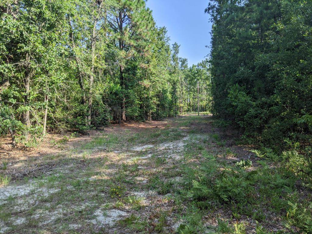 271 Cedar Road - Photo 1