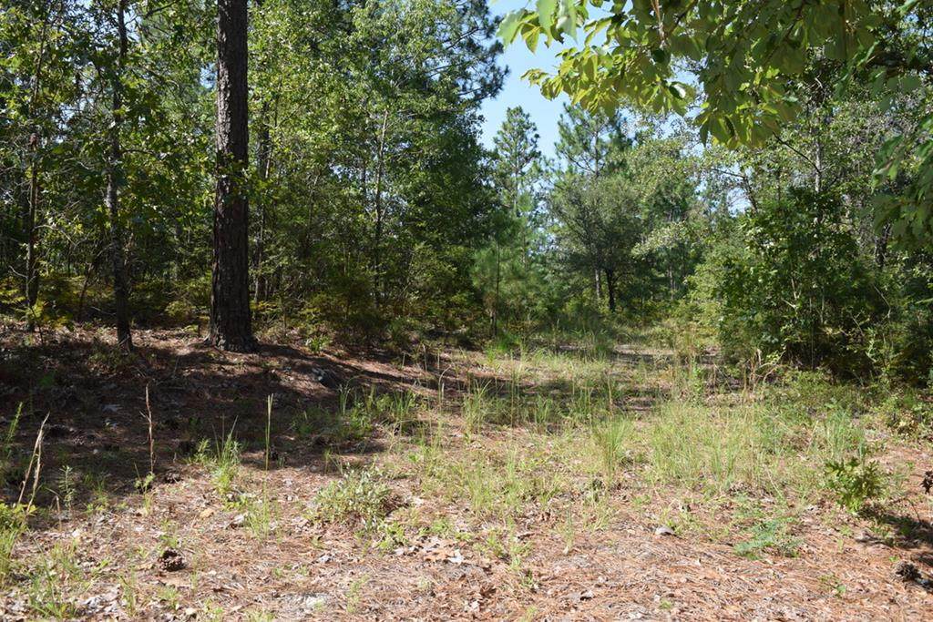 Lot 5 Fire Tower Road - Photo 1
