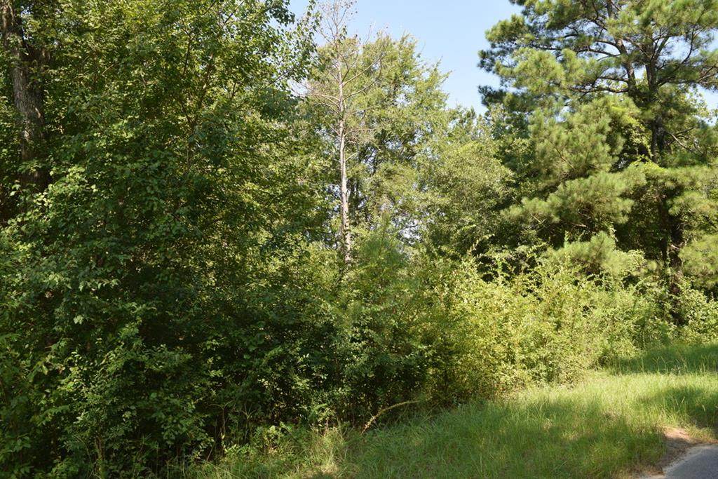 Lot 7 Turtle Pond Court - Photo 1