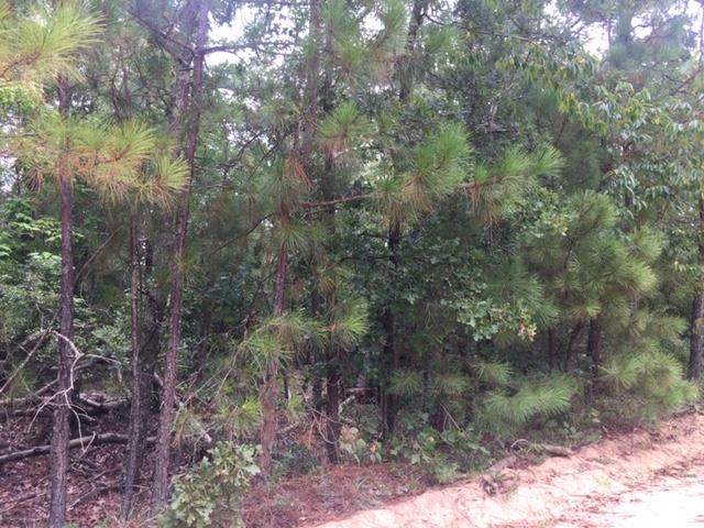 000 Webbs Pond Road - Photo 1