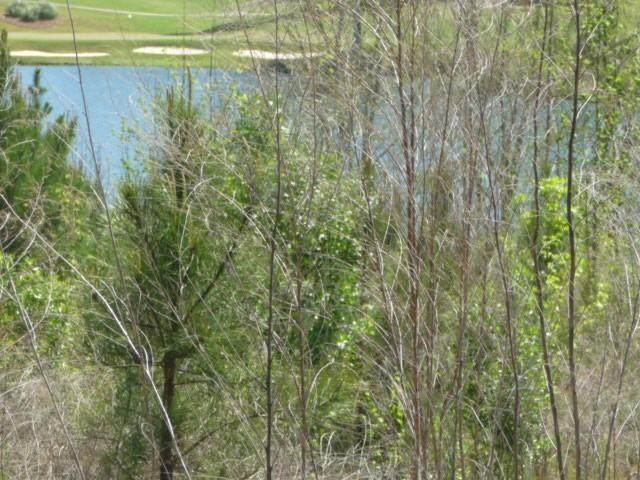 113 Sea Grass Lane - Photo 1