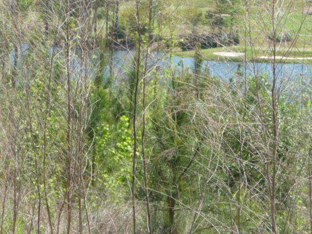 105 Sea Grass Lane - Photo 1