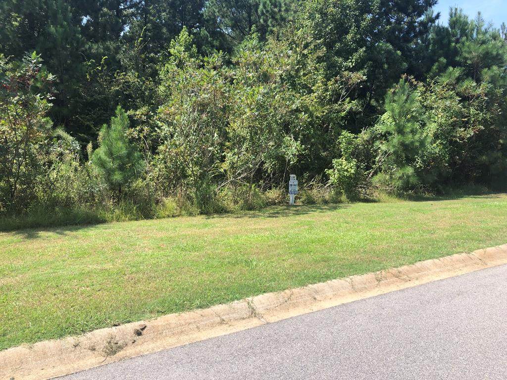 Lot O-42 Schoolhouse Lane - Photo 1