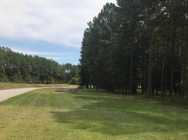 Lot 12 Carillon Court - Photo 1