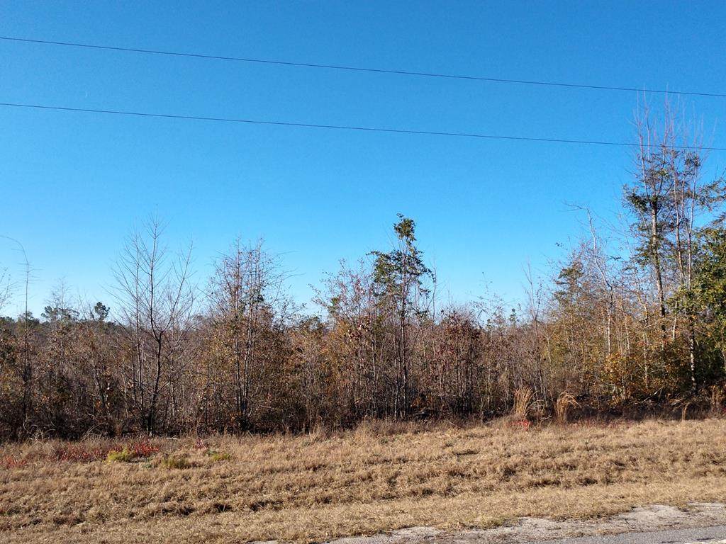 Lot 6 Savannah Drive - Photo 1