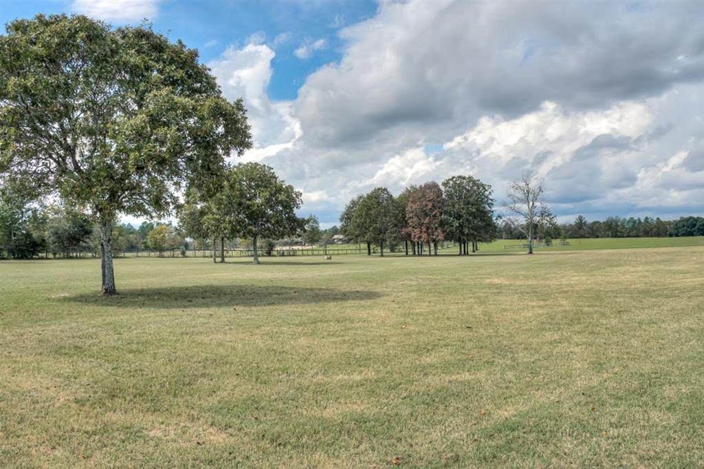 11.65 Acres Charleston Hwy - Photo 1