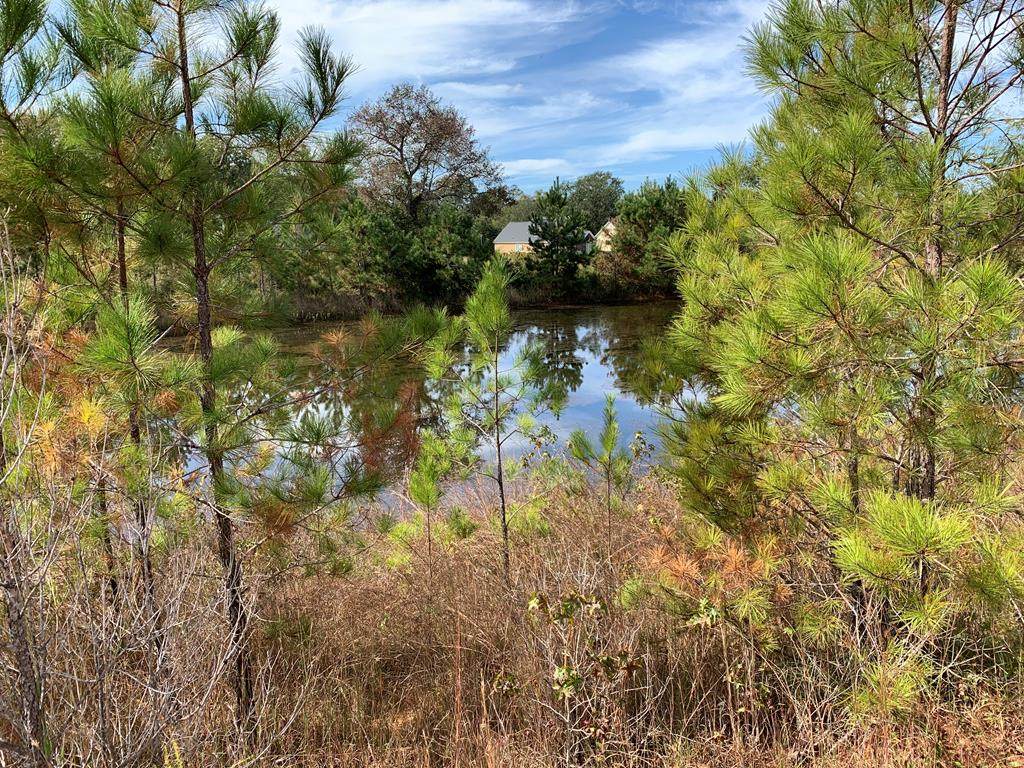 Lot 97 Apple Lane - Photo 1