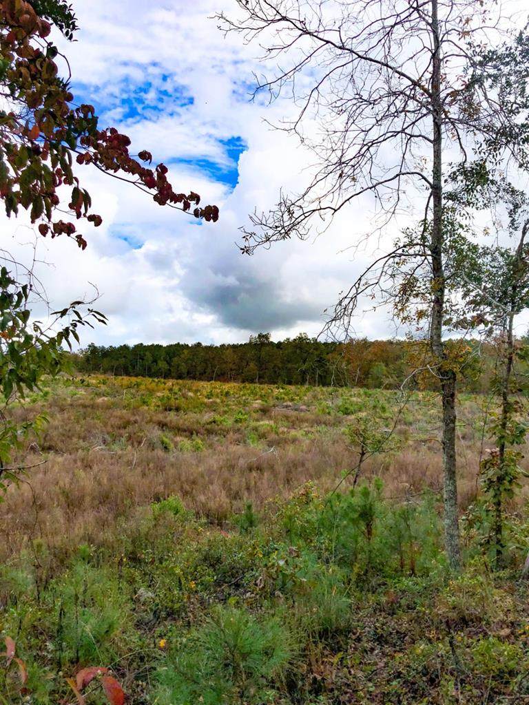0 Cooks Pond Road - Photo 1