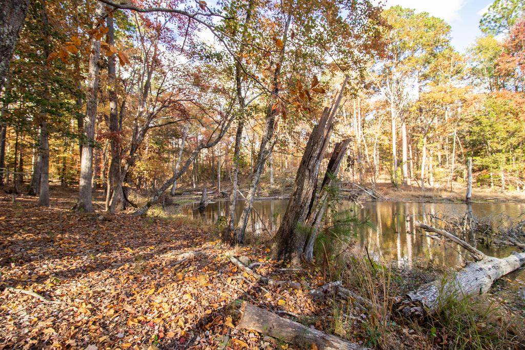 LOT 5 Lake Pointe Way - Photo 1