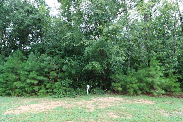 P-37 Eutaw Springs Trail - Photo 1