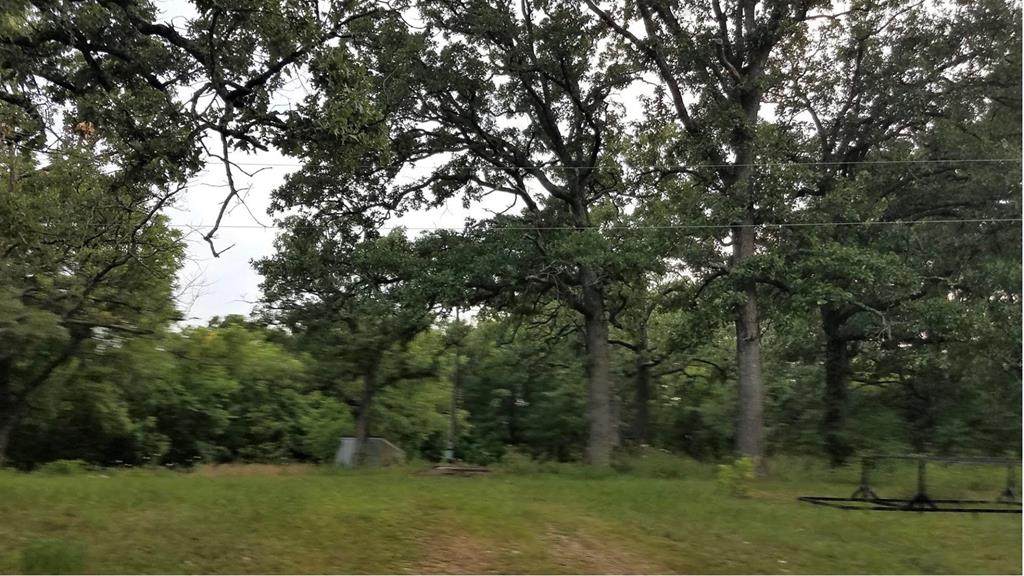 00 Old Kimbill Trail - Photo 1