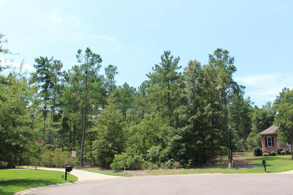 1107 Dunham Forest Way - Photo 1