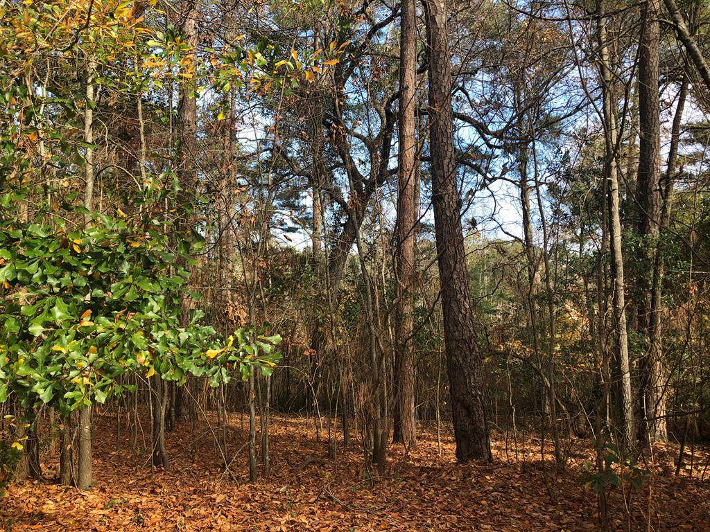 201 Hemlock Drive - Photo 1