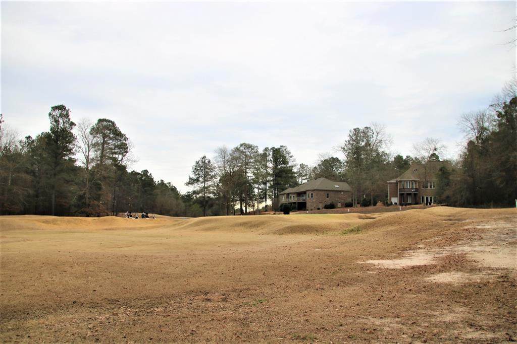 2059 Cardigan Drive - Photo 1