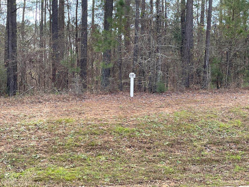 Lot N-63 Eutaw Springs Trail - Photo 1