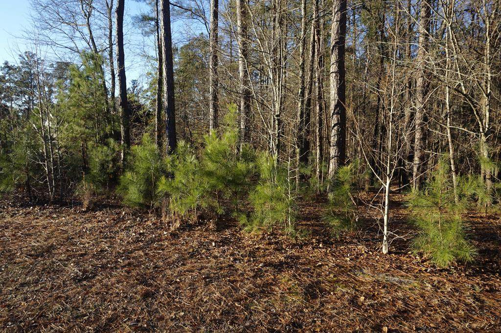 142 Spring Stone Court - Photo 1