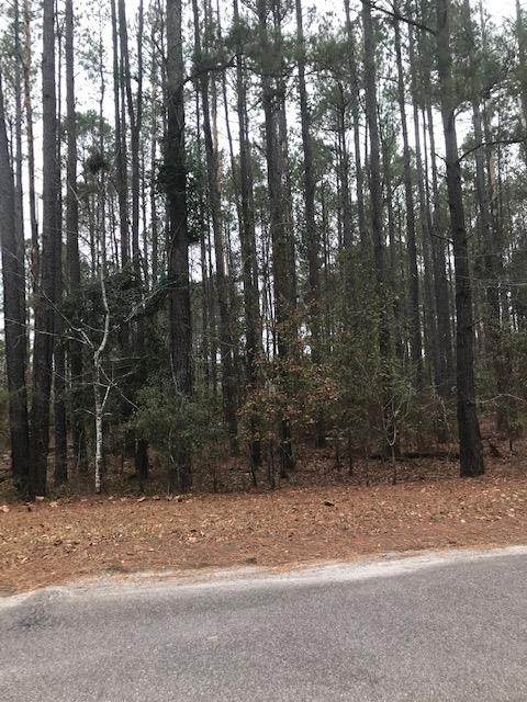 0 Lakewood Parkway - Photo 1