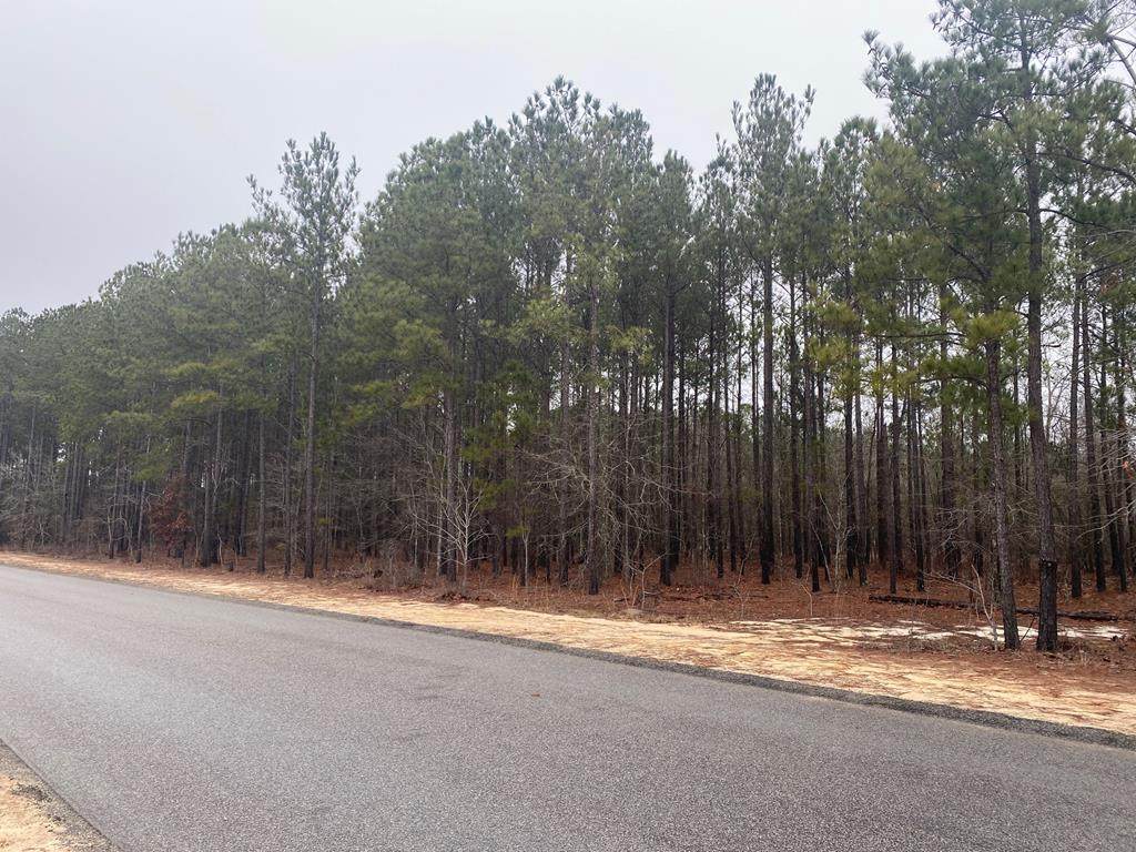 Tract 3-C Solstice Meadow Lane - Photo 1