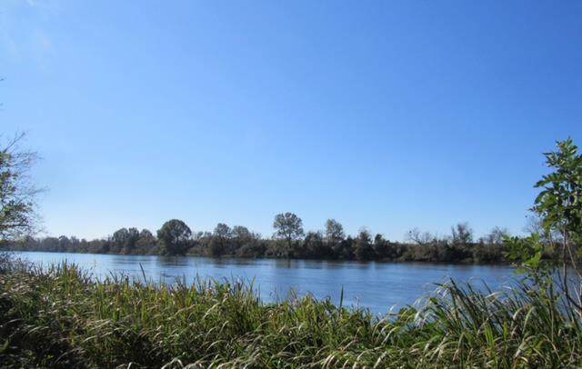 Lot 40 Riverside Plantation Road - Photo 1